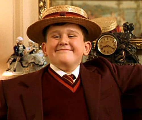 Dudley Dursley from Harry Potter