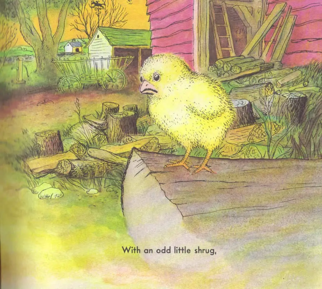 The Chicken Book with an odd little shrug
