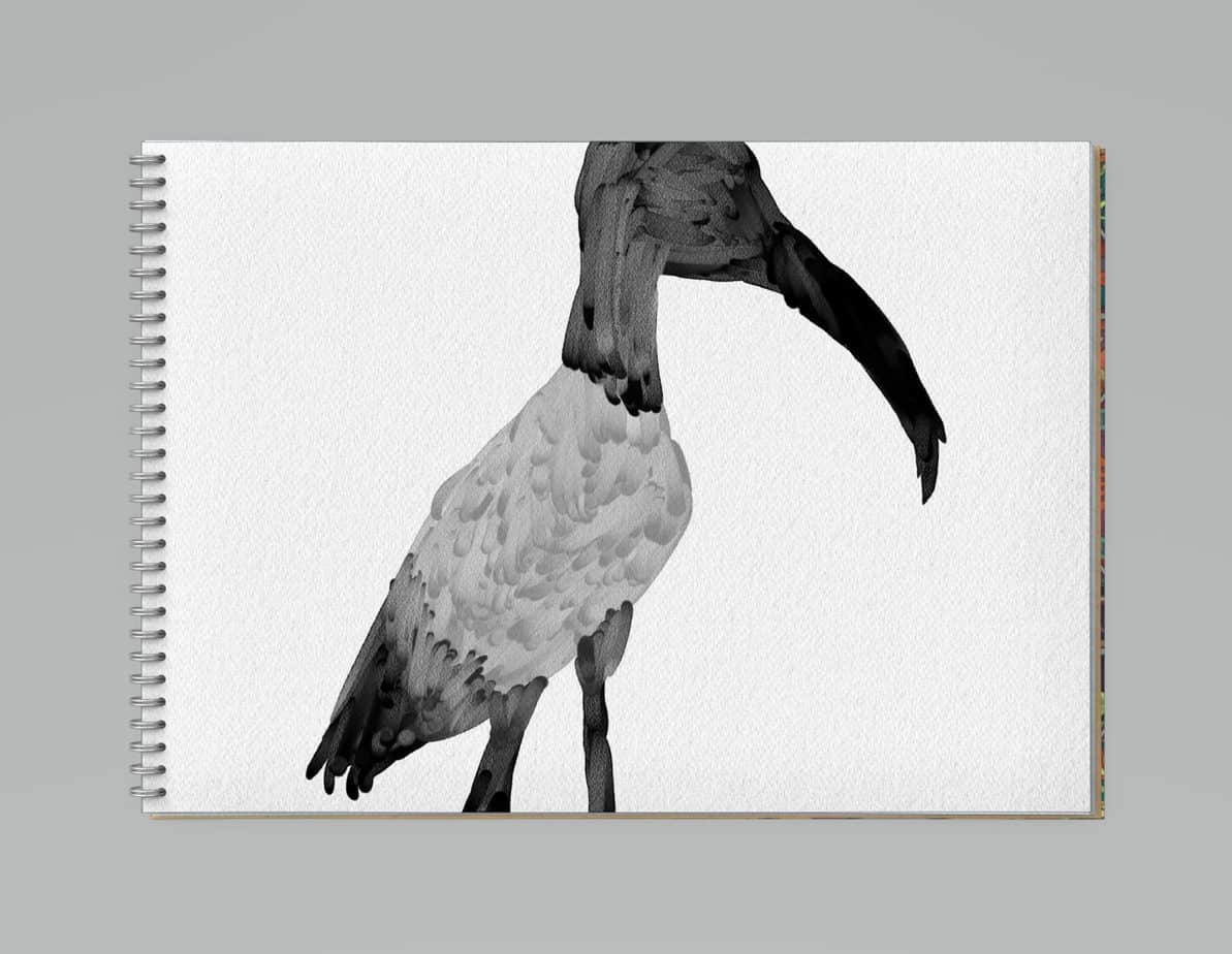 Realistic Paint Studio Digital Art Software Review SLAP HAPPY LARRY   Ibis 2048x1586 