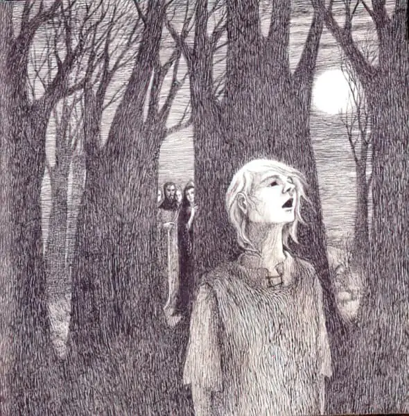 Illustrations Of The Forest At Night 