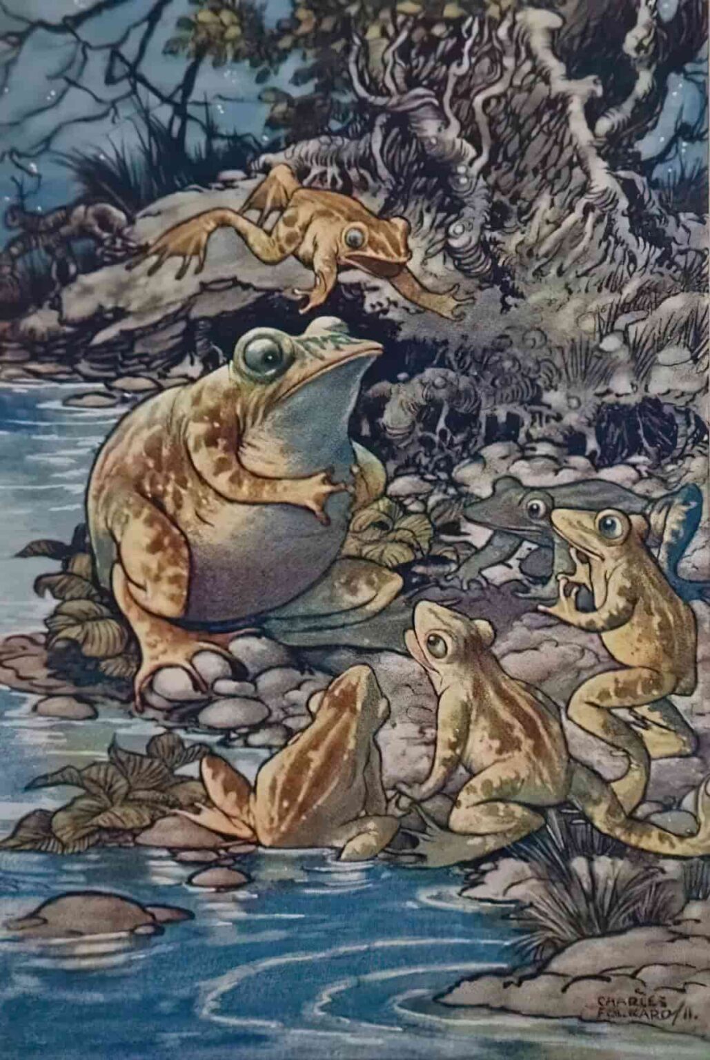 Frogs and Toads in Art and Storytelling | SLAP HAPPY LARRY